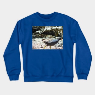 Know where to run to Crewneck Sweatshirt